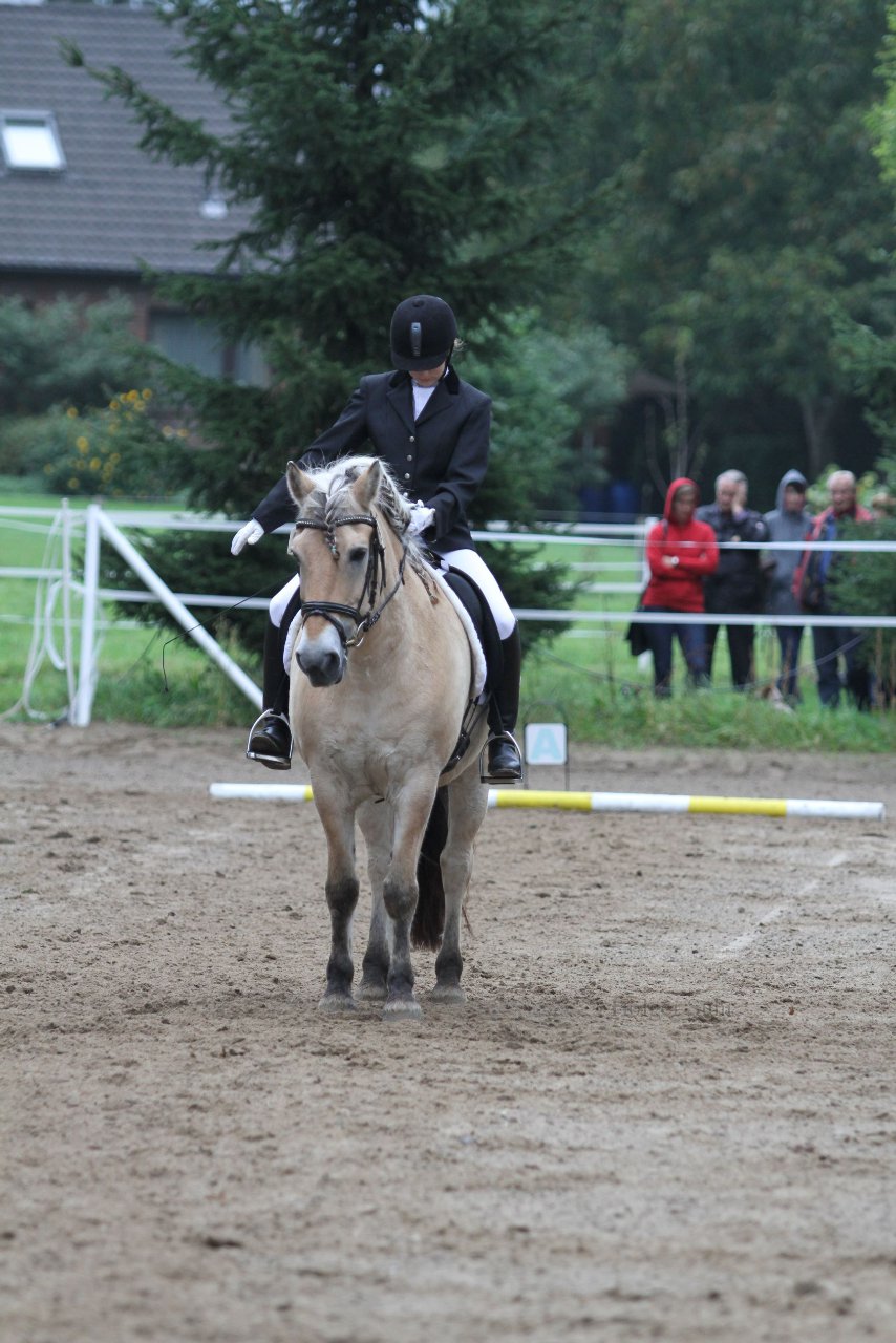 Bild 450 - WBO-Turnier am 18.9.11